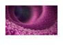 make 3d medical animation